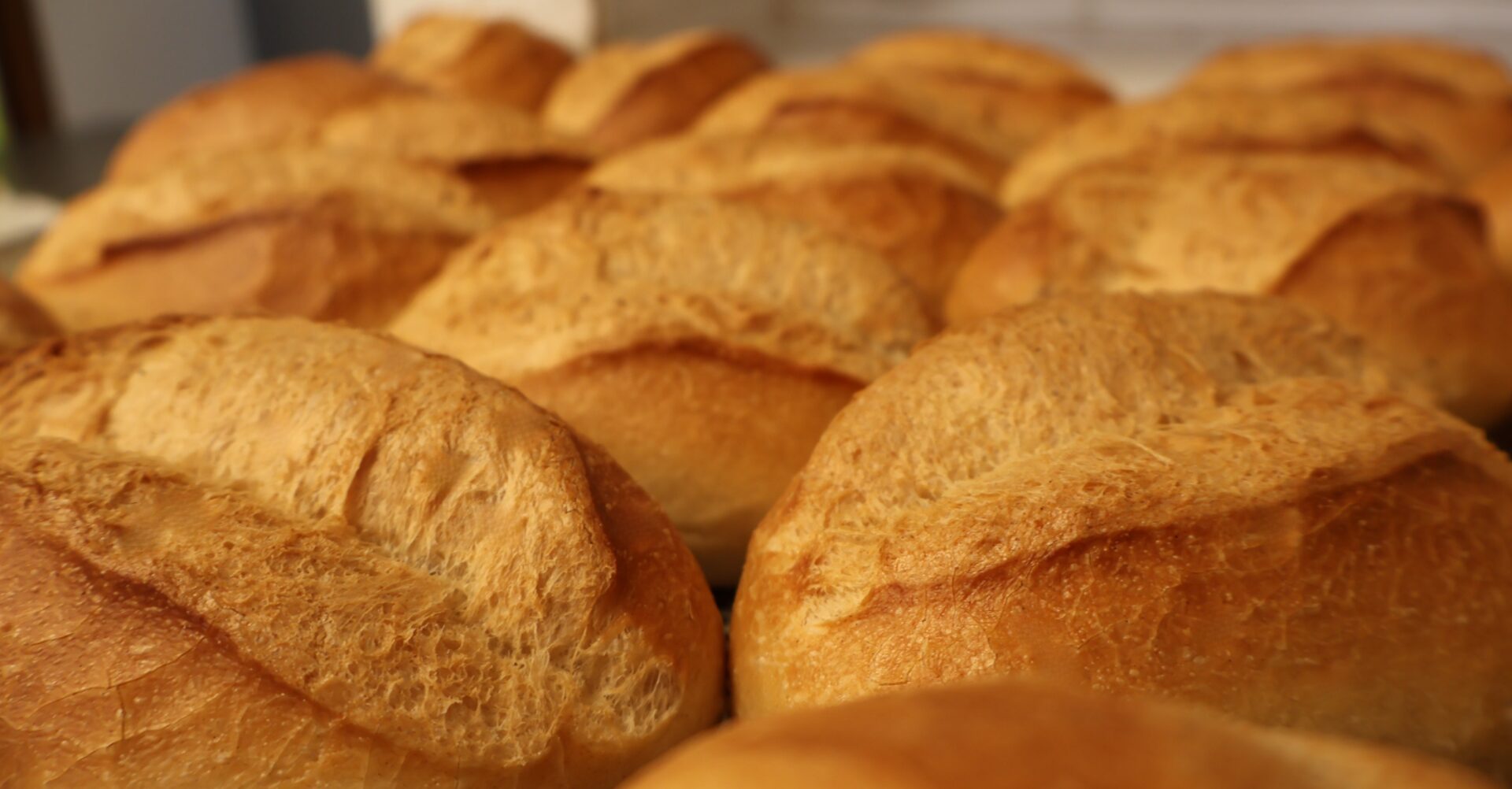Frisch gebackene Brötchen